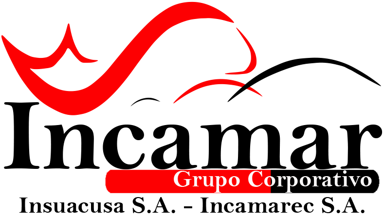 Inicio
